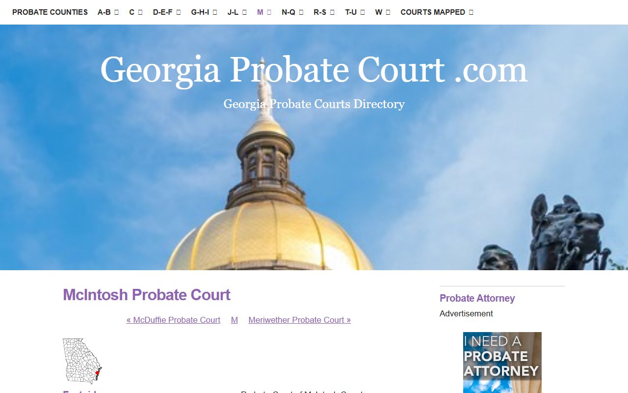 Georgia probate court standard forms directory